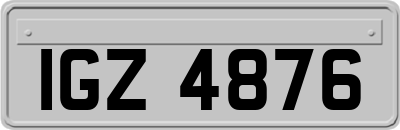 IGZ4876
