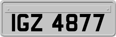 IGZ4877