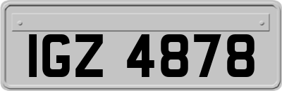 IGZ4878