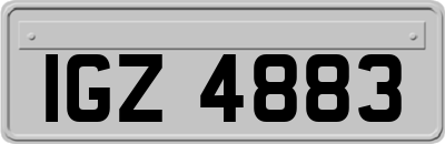 IGZ4883