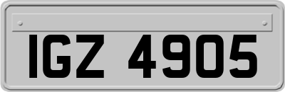 IGZ4905