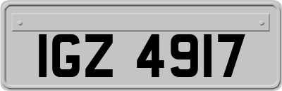 IGZ4917