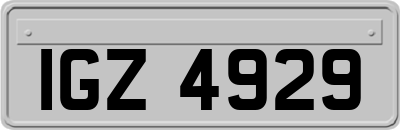 IGZ4929