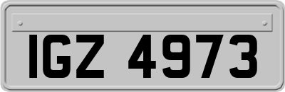 IGZ4973