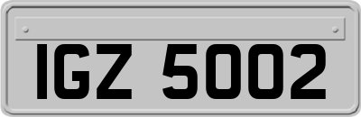 IGZ5002