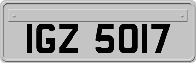 IGZ5017