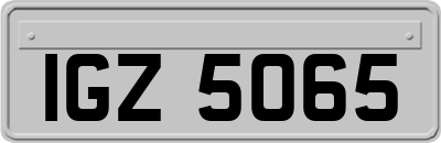 IGZ5065