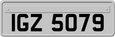 IGZ5079