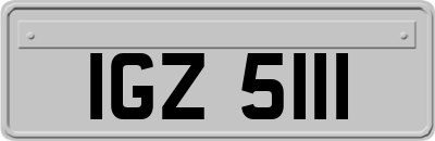 IGZ5111