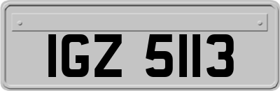 IGZ5113
