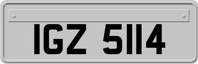 IGZ5114