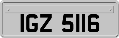 IGZ5116