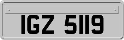 IGZ5119