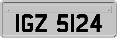 IGZ5124