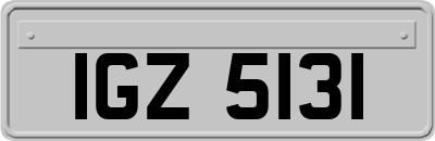 IGZ5131