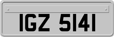 IGZ5141