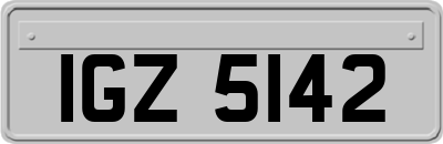 IGZ5142