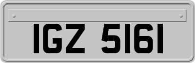 IGZ5161