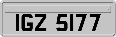 IGZ5177