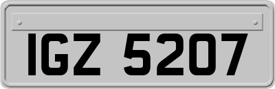 IGZ5207