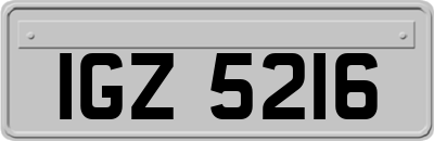 IGZ5216