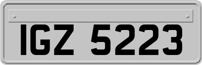IGZ5223