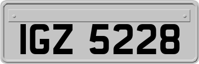 IGZ5228