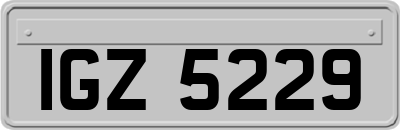 IGZ5229