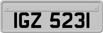 IGZ5231