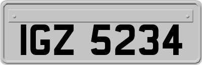 IGZ5234