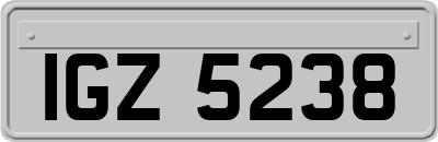 IGZ5238