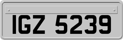 IGZ5239