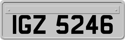 IGZ5246