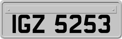 IGZ5253