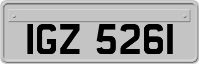 IGZ5261