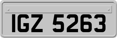 IGZ5263
