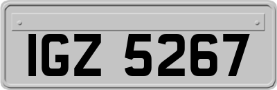 IGZ5267