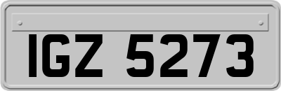 IGZ5273