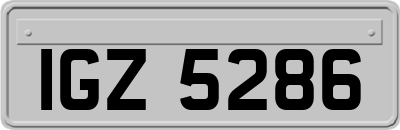 IGZ5286