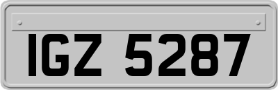 IGZ5287