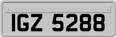 IGZ5288