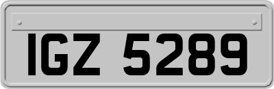 IGZ5289