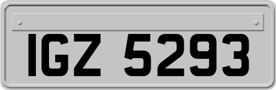 IGZ5293