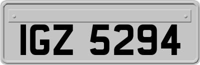 IGZ5294
