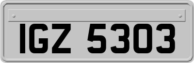 IGZ5303