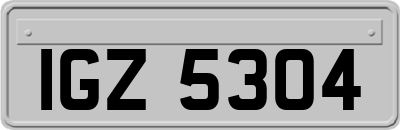 IGZ5304
