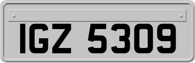 IGZ5309