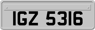 IGZ5316
