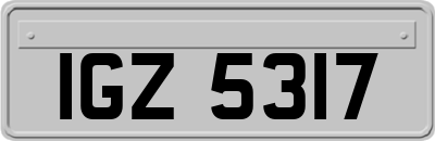 IGZ5317