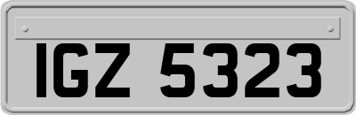 IGZ5323